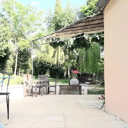 Avec Les Oiseaux